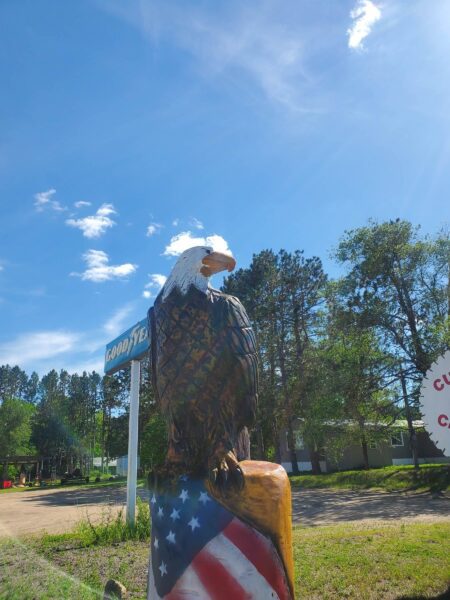 Chainsaw Bald Eagle Finished