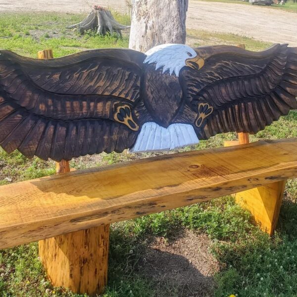 Bench Bald Eagle 2024 10